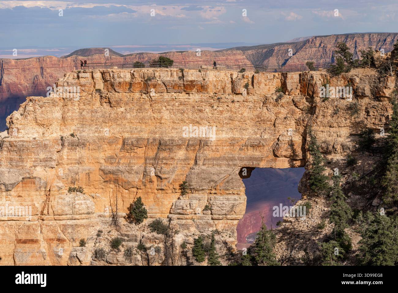 Unkar Rapid, attraverso Angel's Window, North Rim, Grand Canyon National Park, Arizona Foto Stock