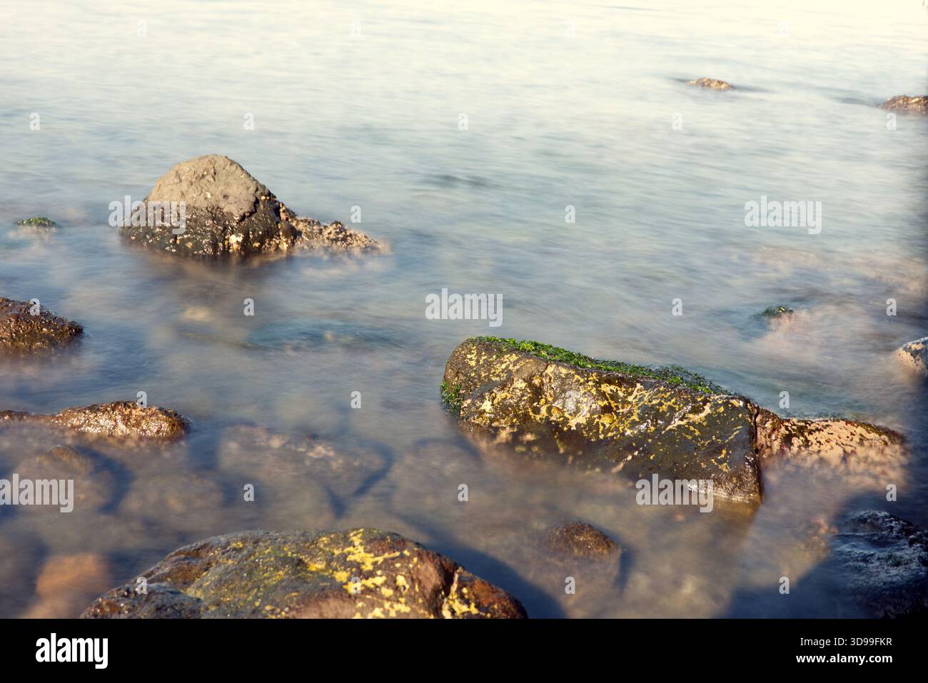 Primo piano di Mossy Rocks sommersa in acque costiere poco profonde e limpide, un'immagine estremamente ravvicinata di grandi rocce sulla costa, concentrandosi sui dettagli Foto Stock