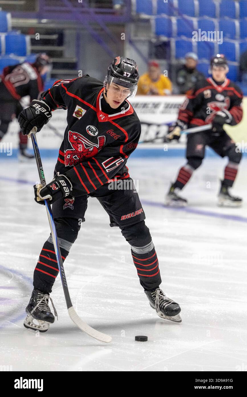 North Richland Hills, Texas USA: Il difensore dei Mudbugs Nandor Polonyi (17) controlla il puck durante il riscaldamento prima di una partita della NAHL contro i Lone Star Brahmas sabato 29 novembre 2025 presso il NYTEX Sports Centre. I Mudbugs hanno battuto i Brahmas 3-2. (Tony Haas/immagine dello sport) Foto Stock