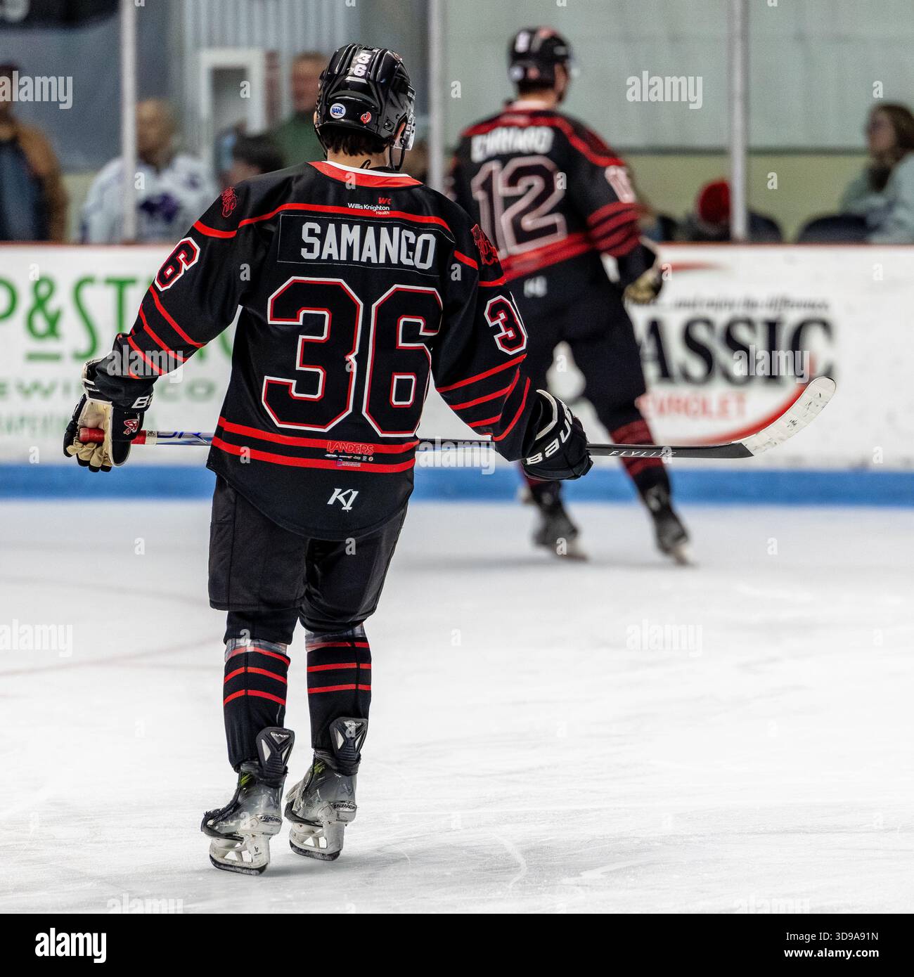 North Richland Hills, Texas USA: L'attaccante dei Mudbugs Joseph Samango (36) pattina durante il riscaldamento prima di una partita della NAHL contro i Lone Star Brahmas sabato 29 novembre 2025 al NYTEX Sports Centre. I Mudbugs hanno battuto i Brahmas 3-2. (Tony Haas/immagine dello sport) Foto Stock