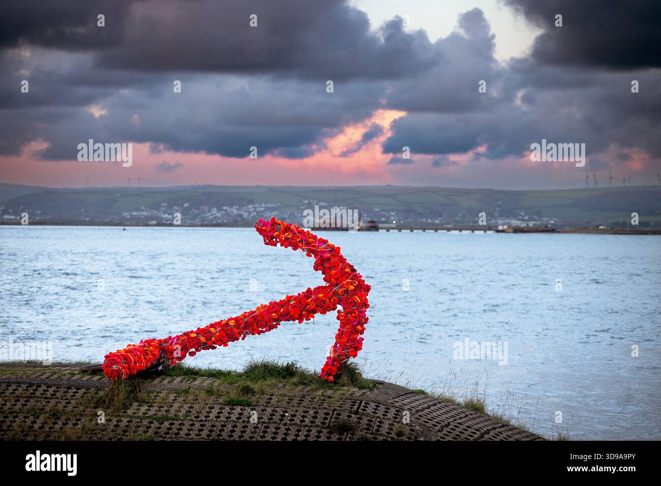 L'ancora ad Appledore nel North Devon, Regno Unito, è coperta da papaveri rossi e fotografata al tramonto. Foto Stock