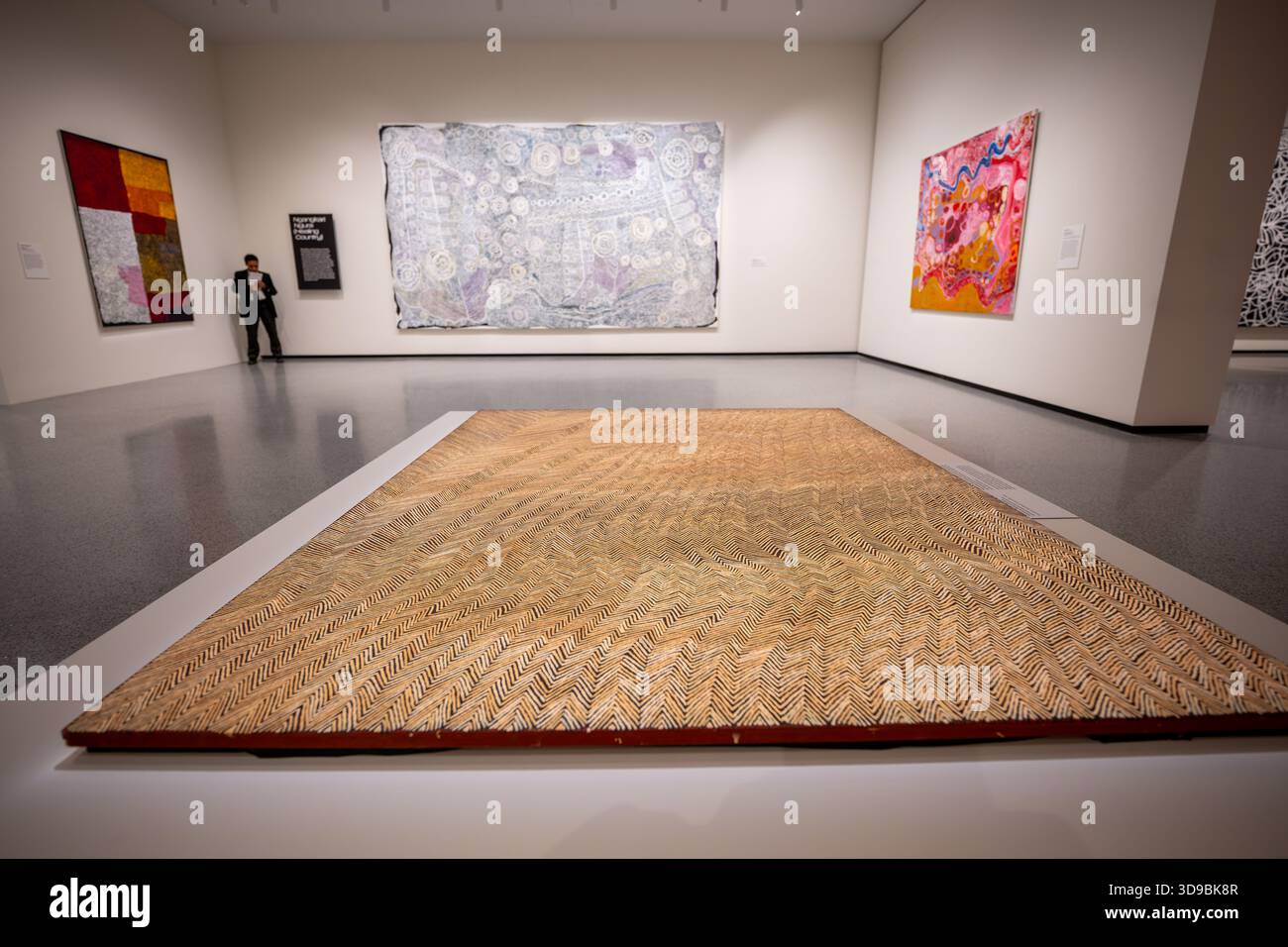 National Gallery of Art Australian Indigenous Art Exhibit Washington DC // WASHINGTON DC — Doreen Nakamarra's Women's Dreaming at Marrapinti (2006) è un'opera d'arte chiave della National Gallery of Art's Australian Indigenous Art Exhibit. L'artista Pintupi/Ngaatjatjarra (c. 1955-2009) ha creato questa vernice polimerica sintetica su tela. Raffigura il foro di roccia dei Marrapinti, un sito di cerimonie ancestrali delle donne, con ipnotici disegni a zigzag che creano un'illusione di profondità e movimento. Visualizzato orizzontalmente, riflettendo il metodo di pittura a terra di Nakamarra, questo lavoro indigeno può essere visualizzato in qualsiasi regia Foto Stock