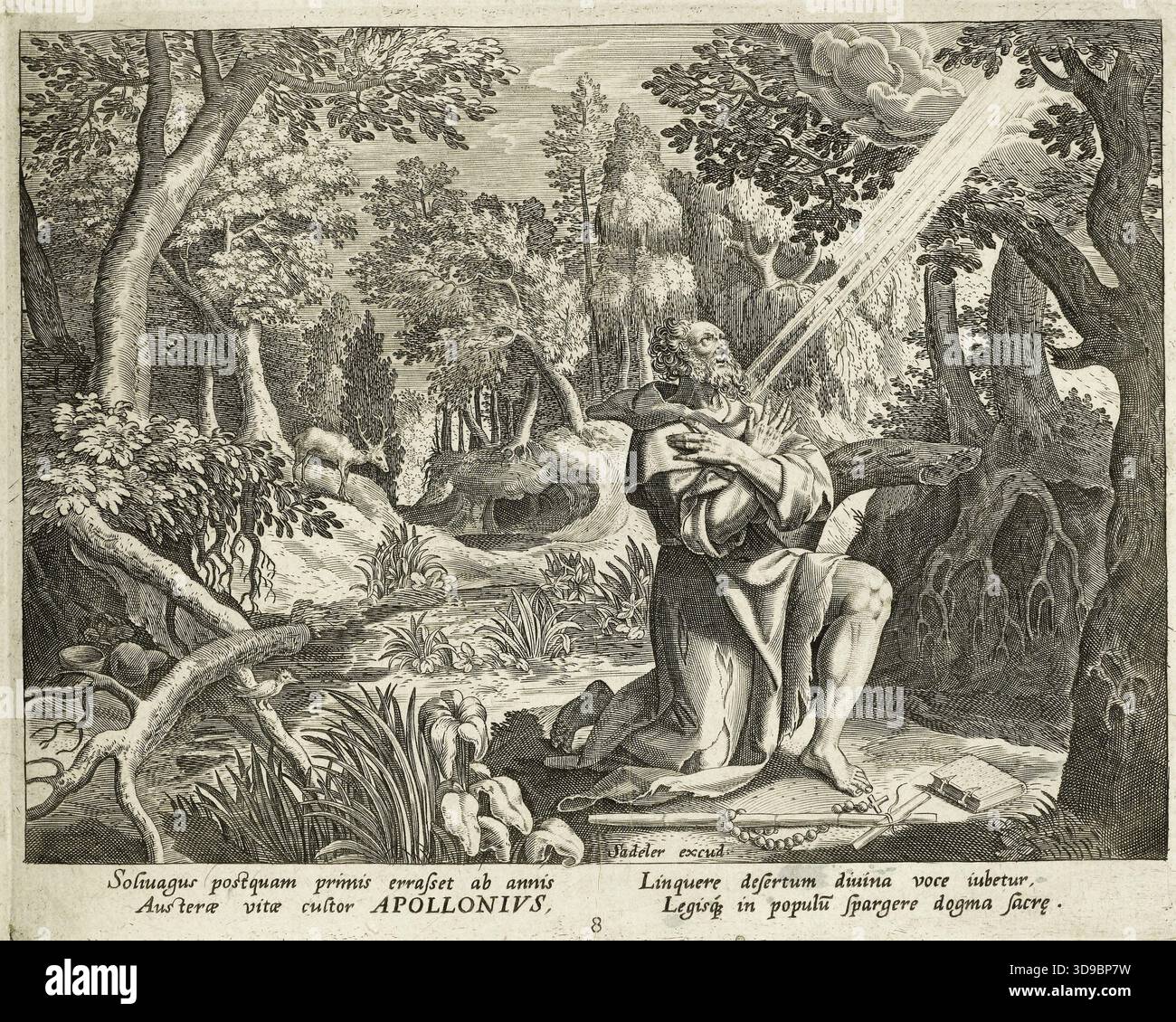 Apollonio, Sadeler, Jan, incisore, Vos, Martin o Marten de, autore del modello, XVI secolo, Stampa, Arti grafiche, stampa originale, incisione, dimensioni - lavoro: altezza: 17 cm, larghezza: 21 Foto Stock