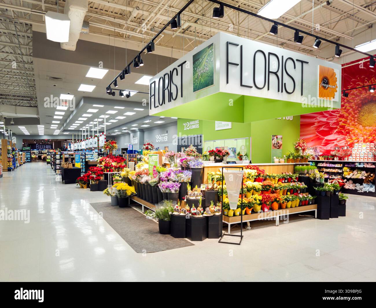 New Hartford, New York - 2 dicembre 2025: Vista ultra ampia della sezione fiorista Market 32, esposizione floreale illuminata con bouquet freschi, piante in vaso e stagionatura Foto Stock