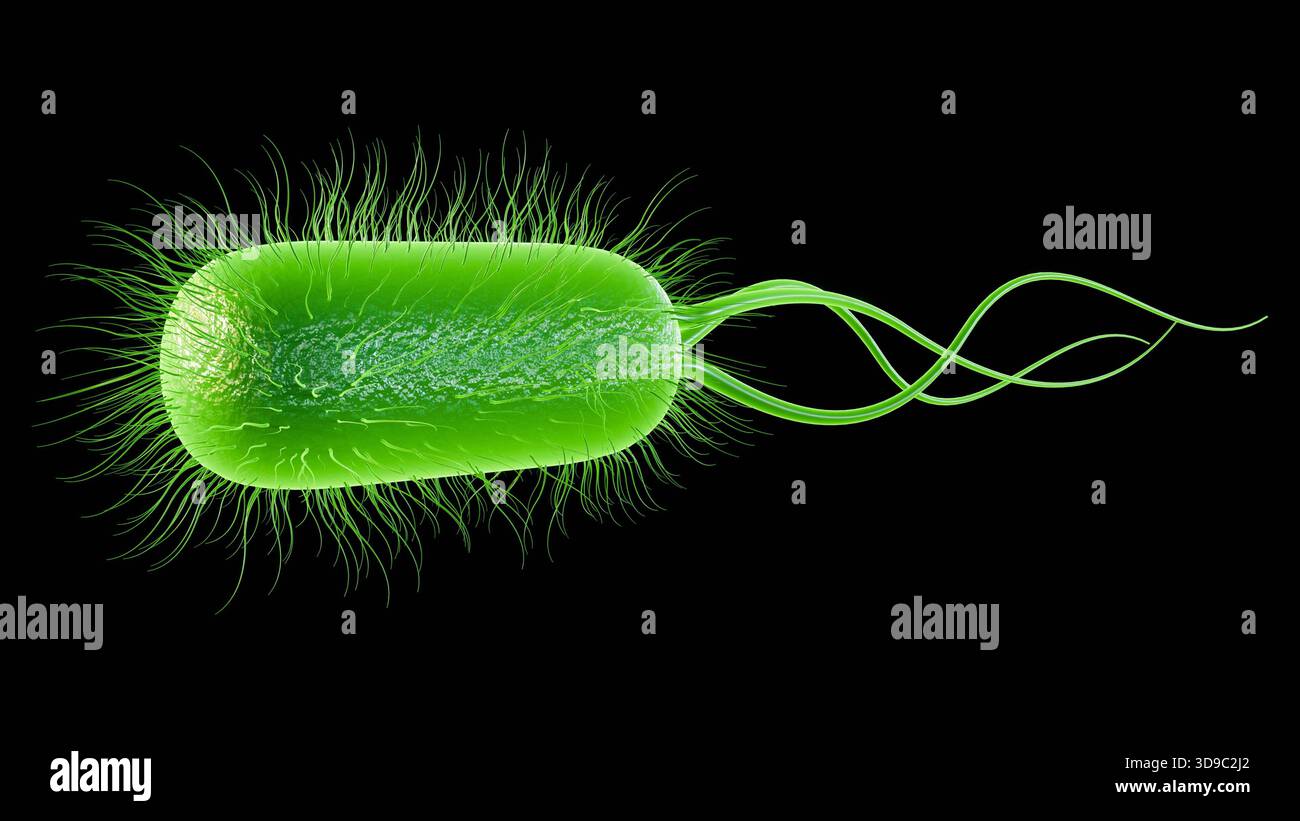 Illustrazione 3D di batteri illuminati, verde brillante, direttamente collegati alla bioluminescenza naturale. Foto Stock
