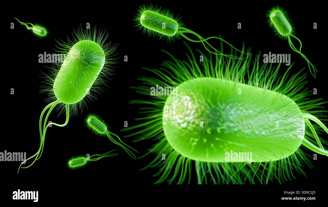 Illustrazione 3D di batteri illuminati, verde brillante, direttamente collegati alla bioluminescenza naturale. Foto Stock