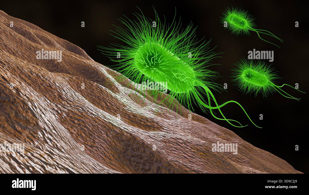 Illustrazione 3D di batteri illuminati, verde brillante, direttamente collegati alla bioluminescenza naturale. Foto Stock