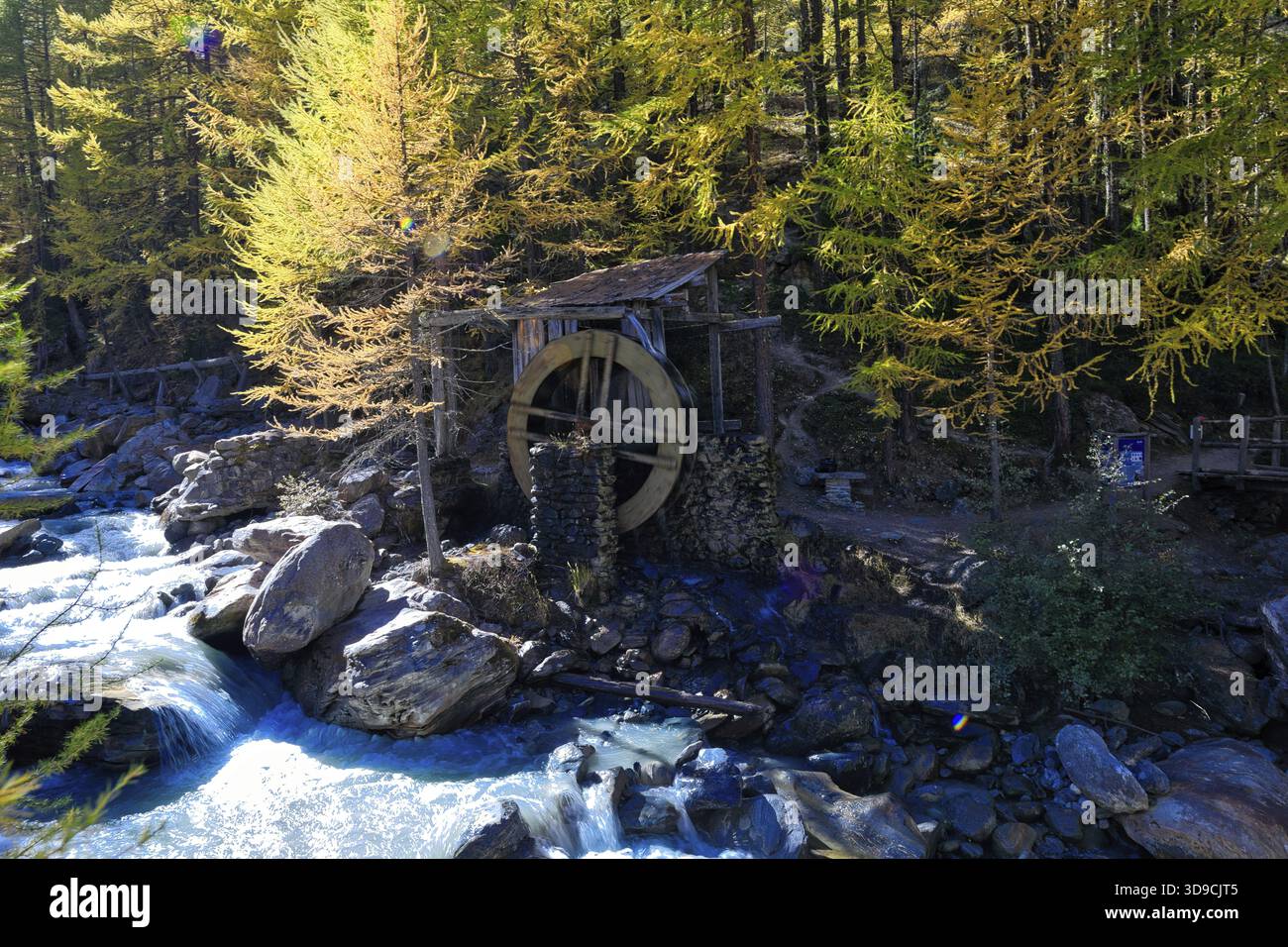 Una ruota idraulica su un ruscello circondato da alberi e rocce di colore autunnale nella foresta, alte Muehle, Feevispa, SaaS Fee, Canton Vallese, Svizzera Foto Stock