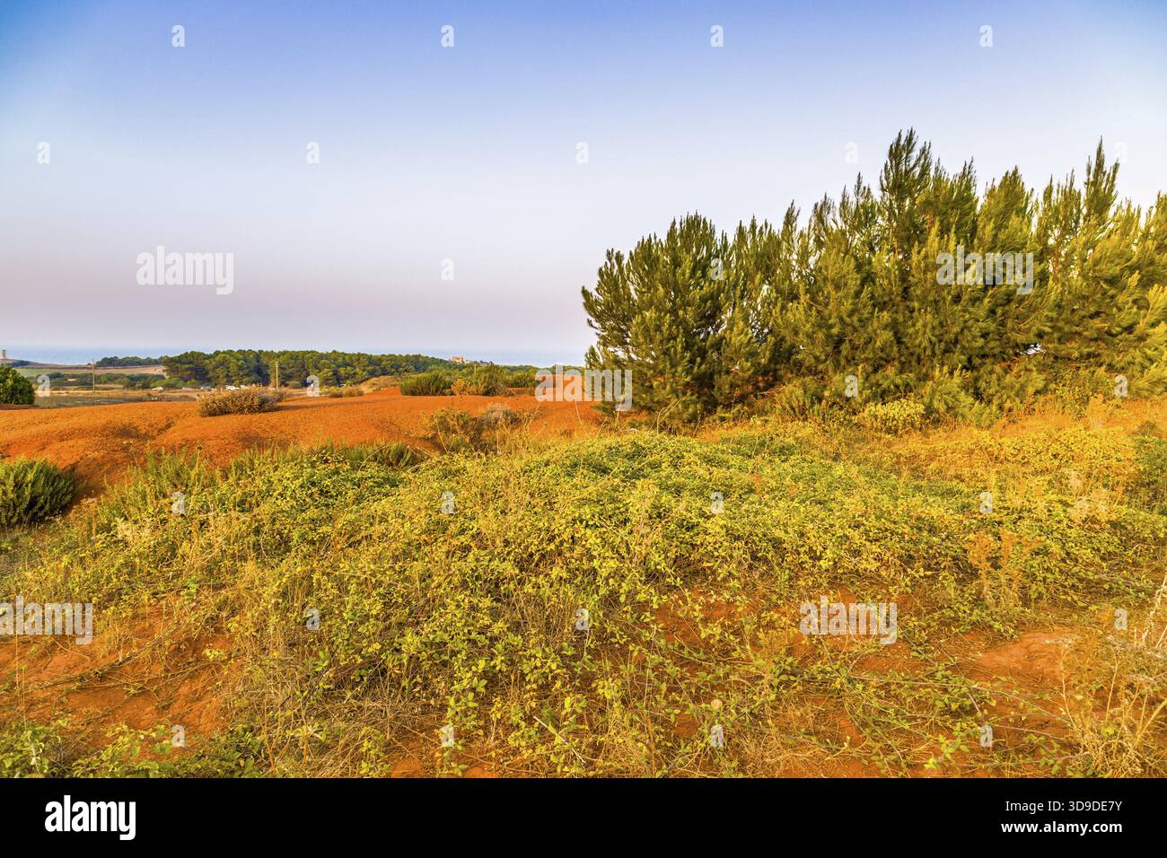 Suoli rossi attorno al lago d'acqua dolce si sono formati in un'ex cava per l'estrazione della bauxite in Italia Foto Stock