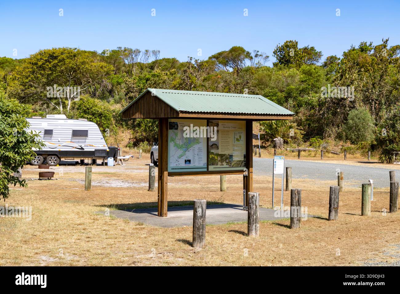 Parchi nazionali australiani e campeggio per la fauna selvatica nel nuovo Galles del Sud, campeggio Banksia Green nel parco nazionale Myall Lakes, Australia Foto Stock