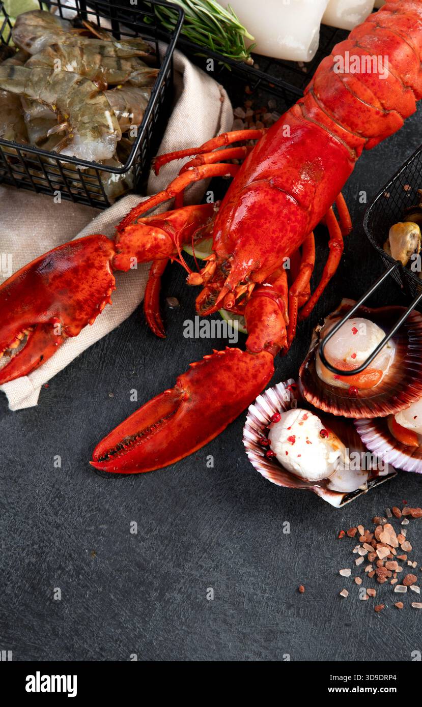 Varietà di pesce fresco ed erbe aromatiche. Pesce fresco e specialità di pesce. Vista dall'alto. Foto Stock