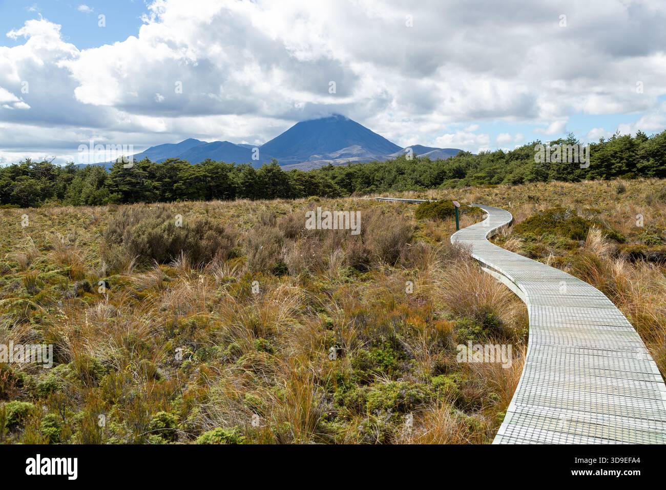 Silica Rapids cammina su una passerella di legno rialzata attraverso un terreno boggy con vista sul Parco Nazionale del Monte Ngauruhoe Tongariro, sull'Isola del Nord, nuova Zelanda Foto Stock