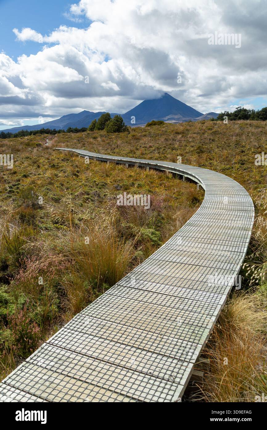 Silica Rapids cammina su una passerella di legno rialzata attraverso un terreno boggy con vista sul Parco Nazionale del Monte Ngauruhoe Tongariro, sull'Isola del Nord, nuova Zelanda Foto Stock