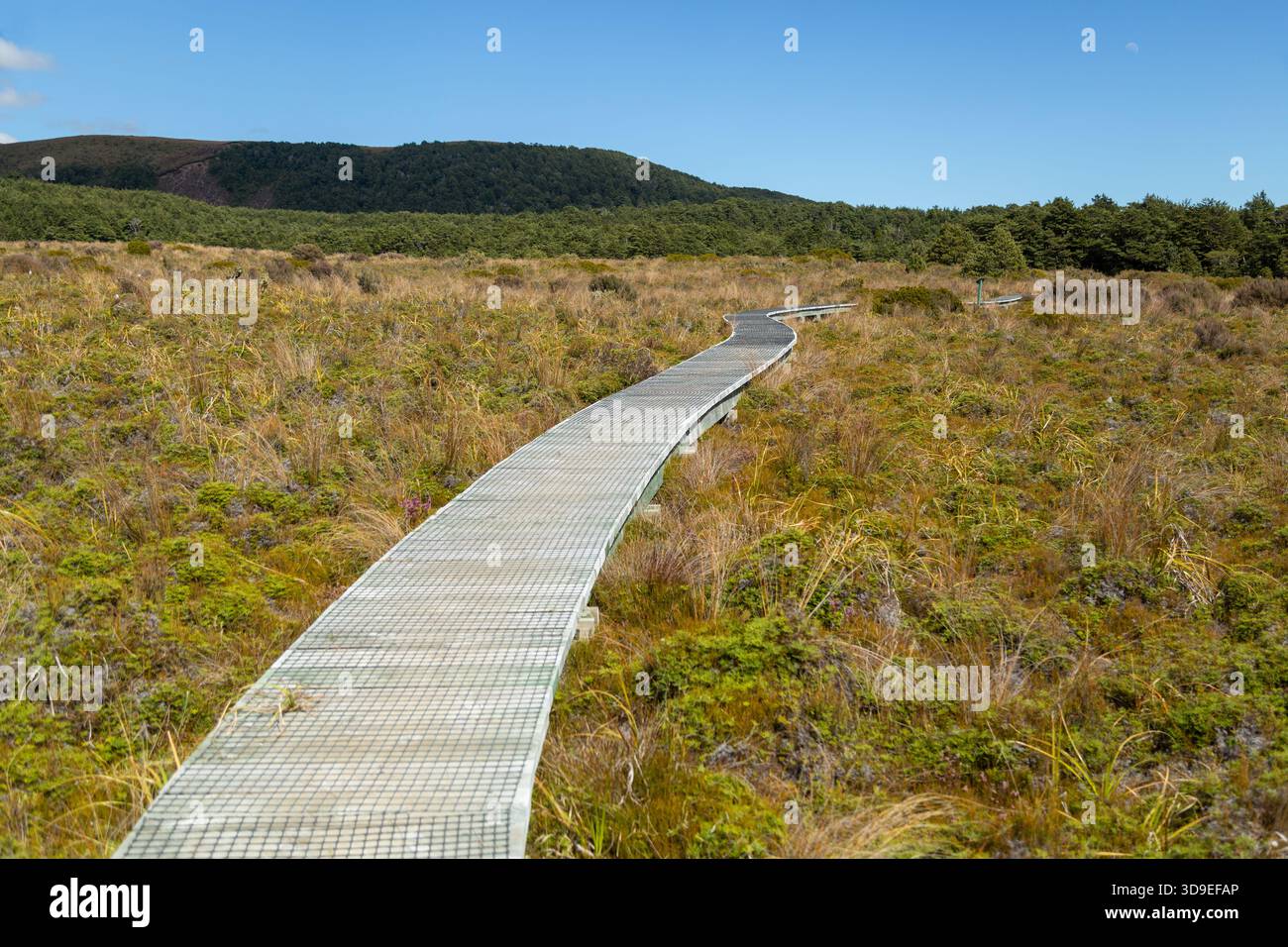 Silica Rapids camminano su una passerella di legno rialzata attraverso il terreno boggy, il Parco Nazionale di Tongariro, l'Isola del Nord, la nuova Zelanda Foto Stock