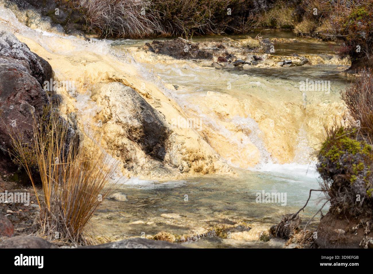 Passeggiata ad anello tra Silica Springs e Rapids, Parco Nazionale di Tongariro, Isola del Nord, nuova Zelanda Foto Stock