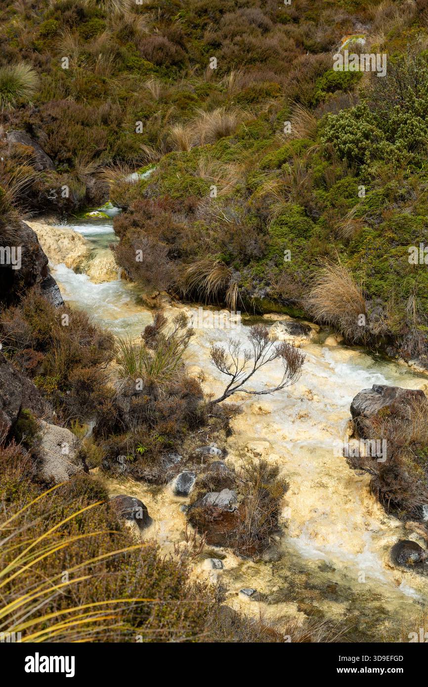 Passeggiata ad anello tra Silica Springs e Rapids, Parco Nazionale di Tongariro, Isola del Nord, nuova Zelanda Foto Stock