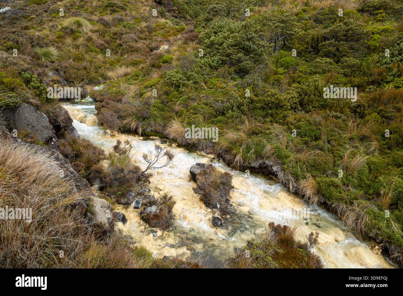 Passeggiata ad anello tra Silica Springs e Rapids, Parco Nazionale di Tongariro, Isola del Nord, nuova Zelanda Foto Stock