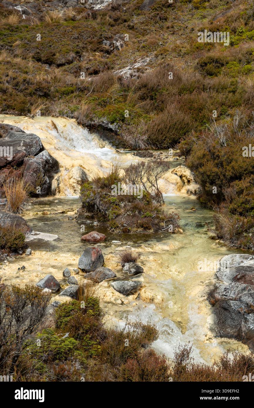 Passeggiata ad anello tra Silica Springs e Rapids, Parco Nazionale di Tongariro, Isola del Nord, nuova Zelanda Foto Stock