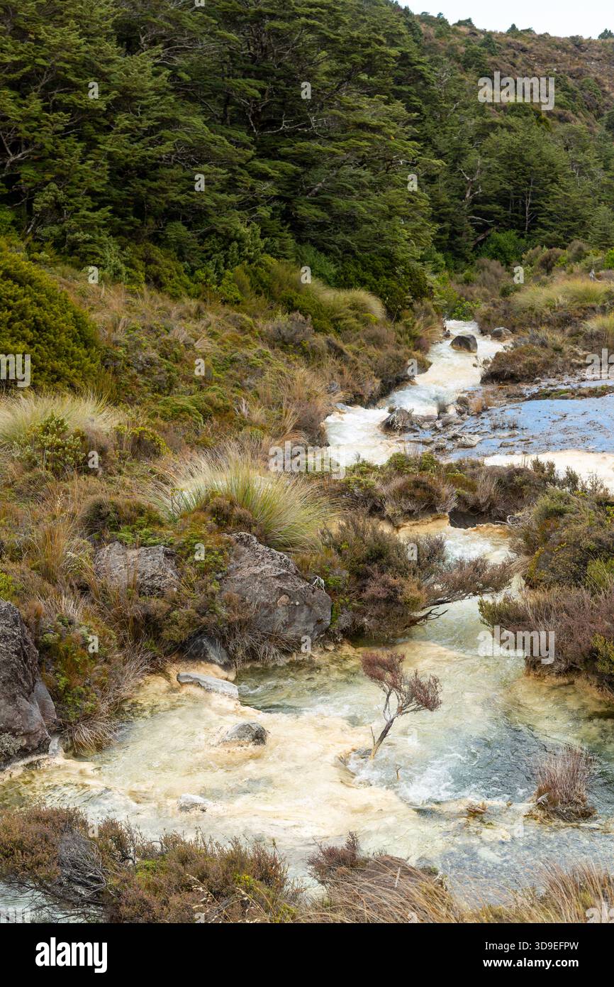 Passeggiata ad anello tra Silica Springs e Rapids, Parco Nazionale di Tongariro, Isola del Nord, nuova Zelanda Foto Stock