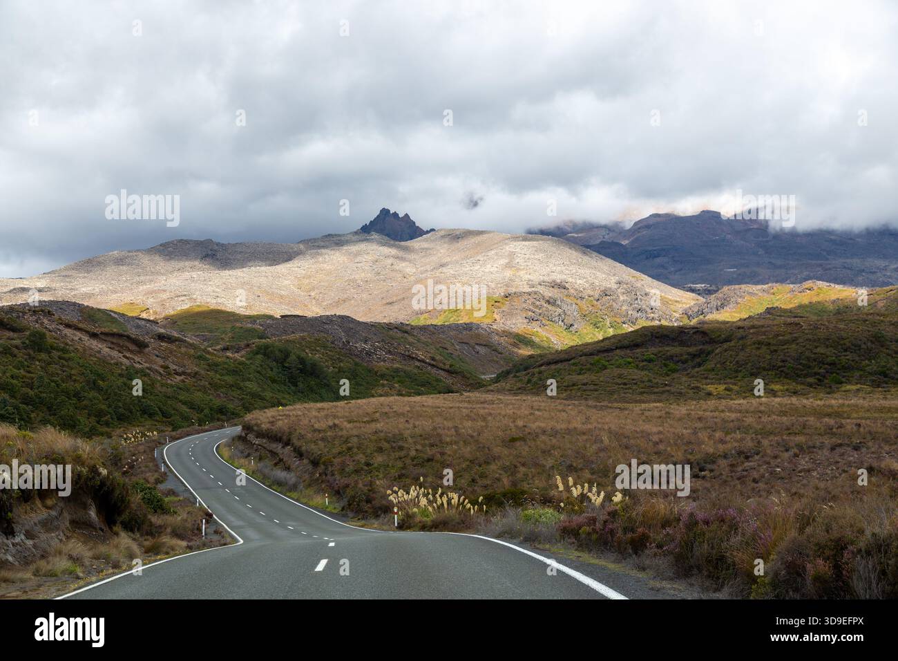 Camminando lungo Bruce Road alla fine del Silica Rapids Loop Walk, Parco Nazionale di Tongariro, Isola del Nord, nuova Zelanda Foto Stock