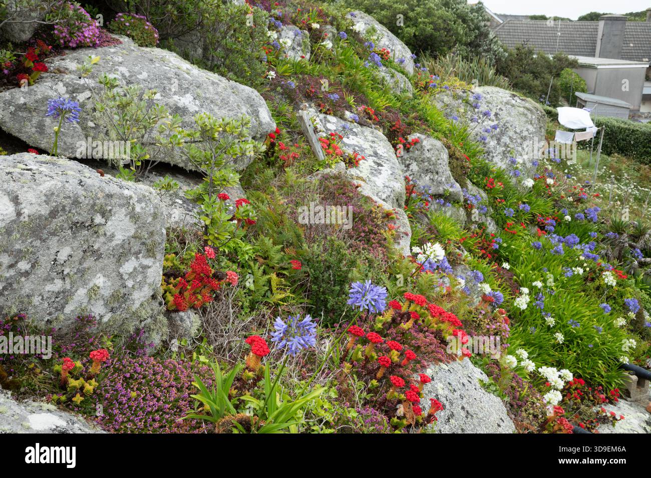 Rock Garden a Hugh Town su St Mary's.. Isole Scilly, Cornovaglia, Regno Unito. Foto Stock