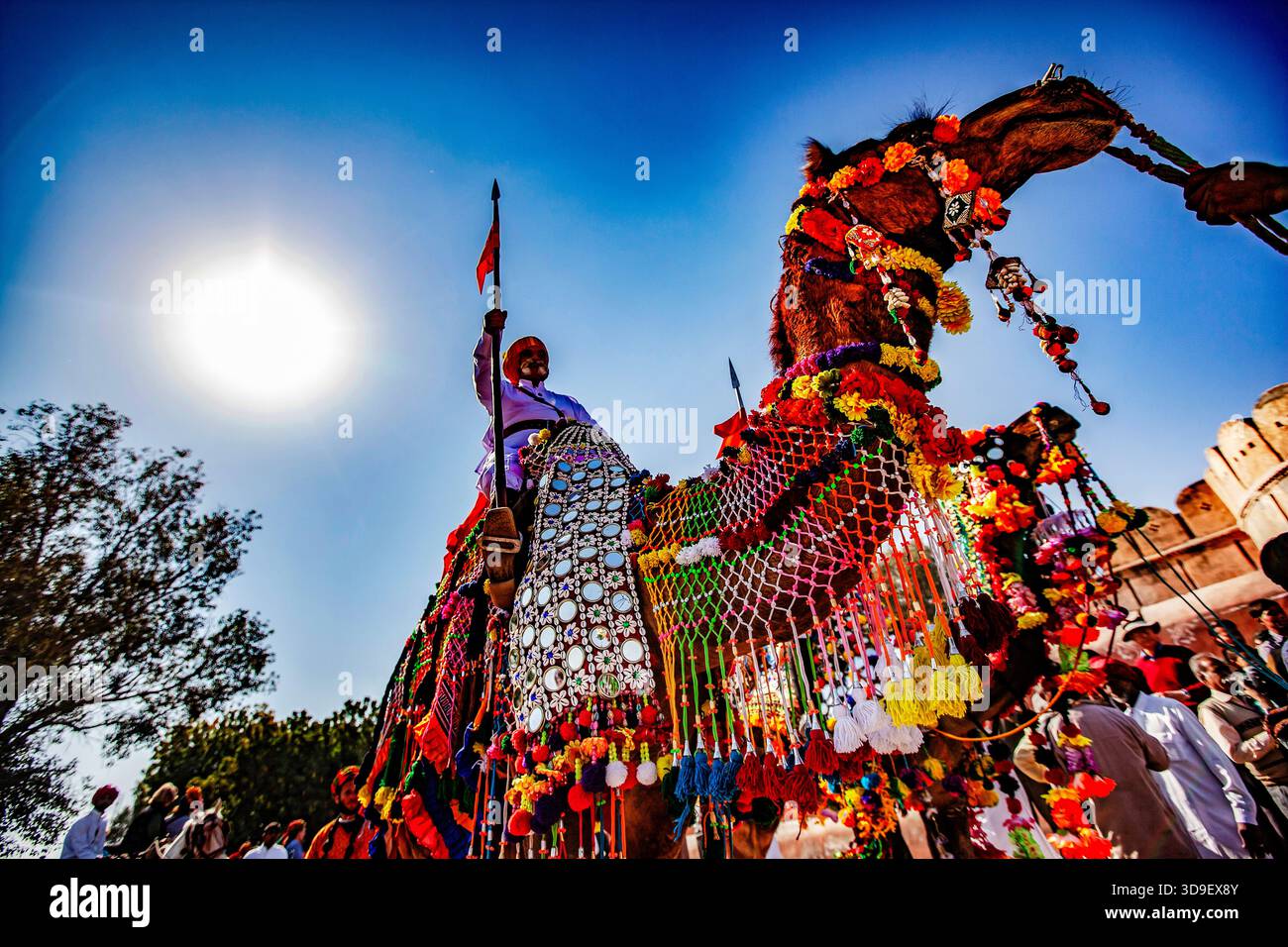 Il Bikaner Camel Festival è una celebrazione annuale a Bikaner, Rajasthan Foto Stock