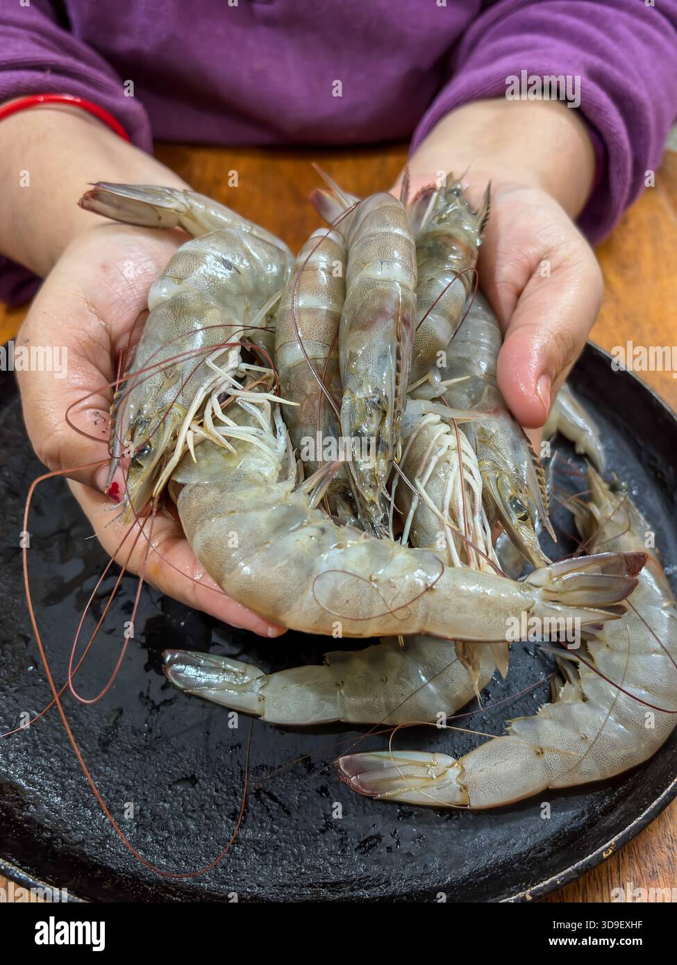 mani che tengono i gamberetti crudi freschi sopra la padella nera Foto Stock