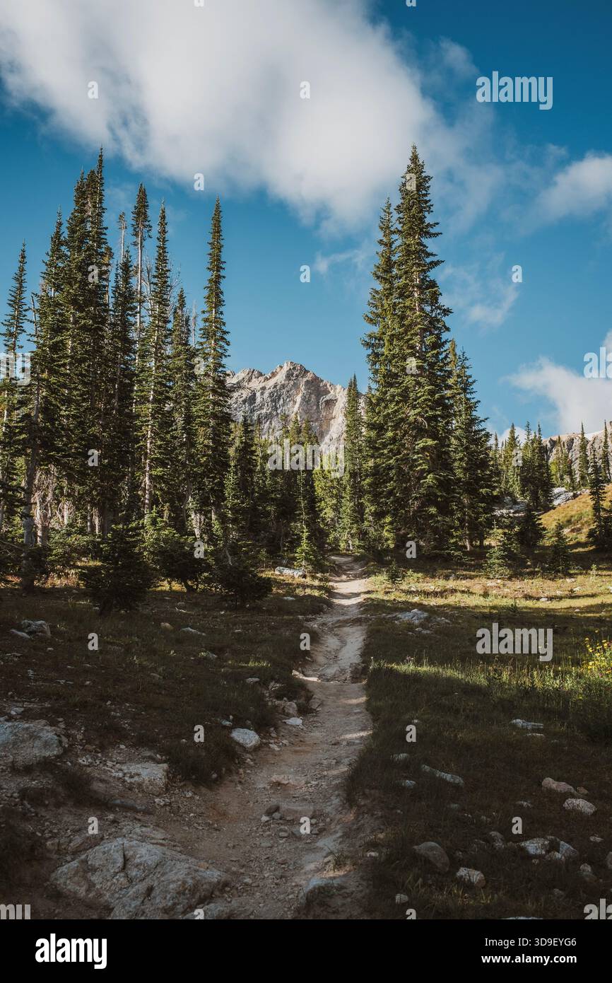 Il percorso escursionistico si snoda attraverso il Paintbrush Canyon, Tetons Foto Stock