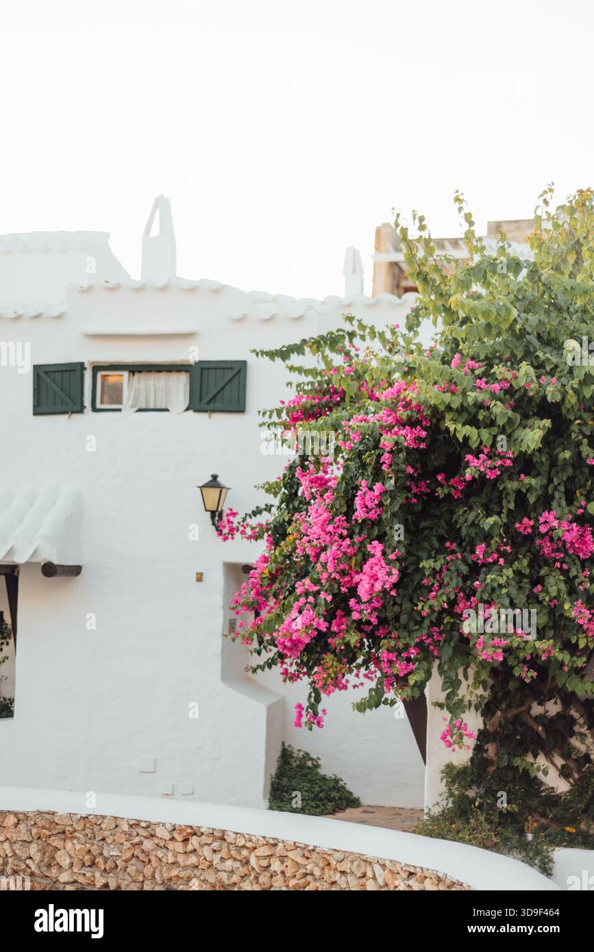 Casa imbiancata e Bougainvillea a Binibeca Vell, Minorca, Spagna Foto Stock
