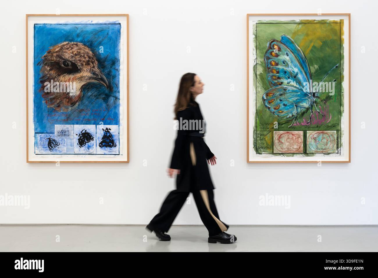 Londra, Regno Unito. 5 dicembre 2025. Un membro del personale passa (L) “Observation: Common Swift, Apus Apus. Consuma 20.000 insetti al giorno» e «Observation on the Migration Theory of Polyommatus Butterflies», entrambi nel 2025, all’apertura di Oswaldo Maciá: Migratory Movements, una nuova mostra dell’artista colombiano Oswaldo Maciá presso la galleria Elizabeth Xi Bauer di Exmouth Market. Le opere dell'artista esplorano l'ecologia, l'ambiente e il mondo naturale. Lo spettacolo si svolge fino al 15 febbraio 2026. Crediti: Stephen Chung / Alamy Live News Foto Stock