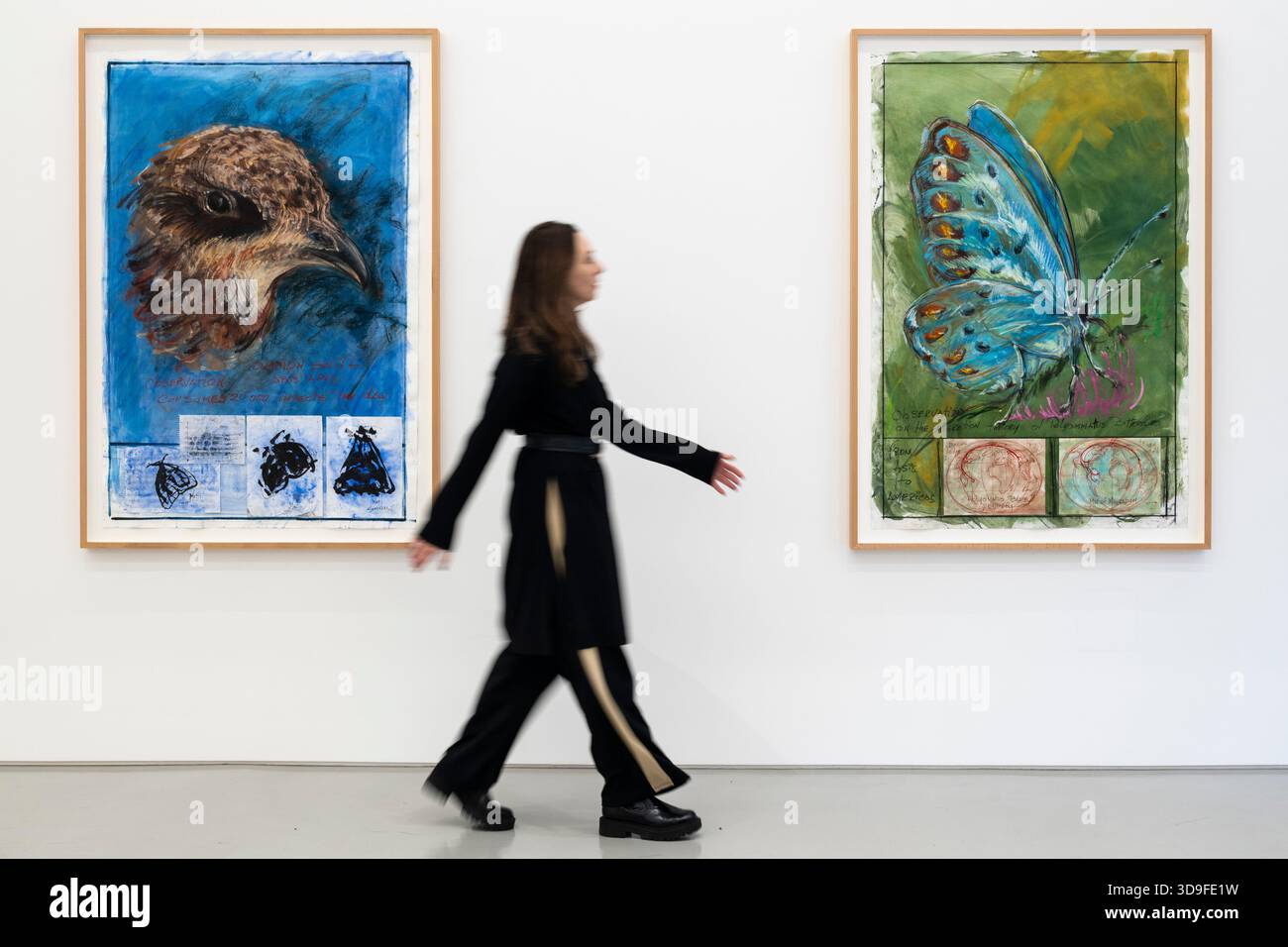 Londra, Regno Unito. 5 dicembre 2025. Un membro del personale passa (L) “Observation: Common Swift, Apus Apus. Consuma 20.000 insetti al giorno» e «Observation on the Migration Theory of Polyommatus Butterflies», entrambi nel 2025, all’apertura di Oswaldo Maciá: Migratory Movements, una nuova mostra dell’artista colombiano Oswaldo Maciá presso la galleria Elizabeth Xi Bauer di Exmouth Market. Le opere dell'artista esplorano l'ecologia, l'ambiente e il mondo naturale. Lo spettacolo si svolge fino al 15 febbraio 2026. Crediti: Stephen Chung / Alamy Live News Foto Stock