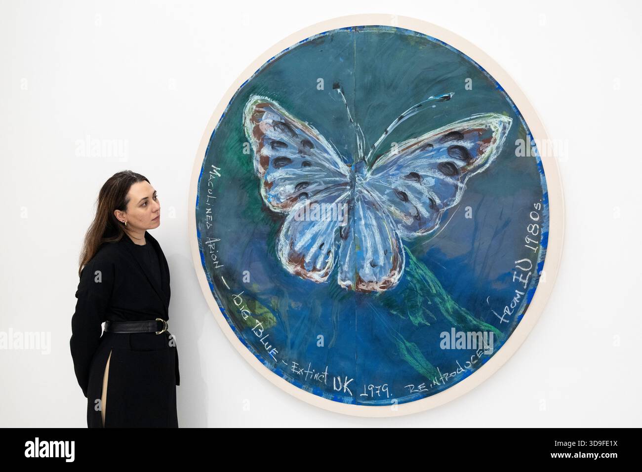 Londra, Regno Unito. 5 dicembre 2025. Un membro dello staff con "Maculinea Arion - Big Blue - Extinct UK 1979. Reintrodotto da EU 1980s (rondo)», 2025, in occasione dell’apertura di Oswaldo Maciá: Migratory Movements, una nuova mostra dell’artista colombiano Oswaldo Maciá presso la galleria Elizabeth Xi Bauer di Exmouth Market. Le opere dell'artista esplorano l'ecologia, l'ambiente e il mondo naturale. Lo spettacolo si svolge fino al 15 febbraio 2026. Crediti: Stephen Chung / Alamy Live News Foto Stock