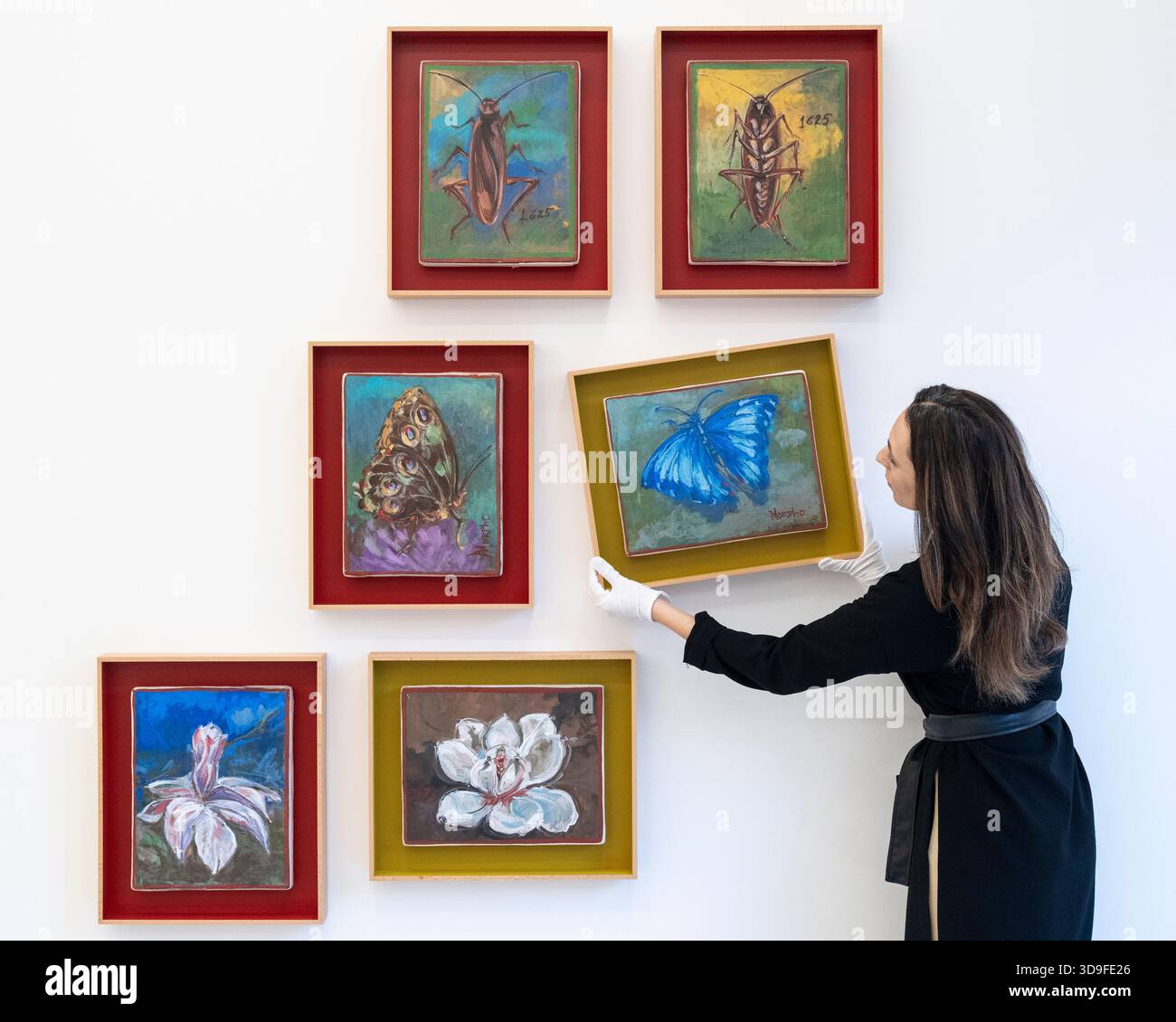 Londra, Regno Unito. 5 dicembre 2025. Un membro dello staff impicca ’Morpho (Inside)’, 2025, all’apertura di Oswaldo Maciá: Migratory Movements, una nuova mostra dell’artista colombiano Oswaldo Maciá presso la galleria Elizabeth Xi Bauer di Exmouth Market. Le opere dell'artista esplorano l'ecologia, l'ambiente e il mondo naturale. Lo spettacolo si svolge fino al 15 febbraio 2026. Crediti: Stephen Chung / Alamy Live News Foto Stock