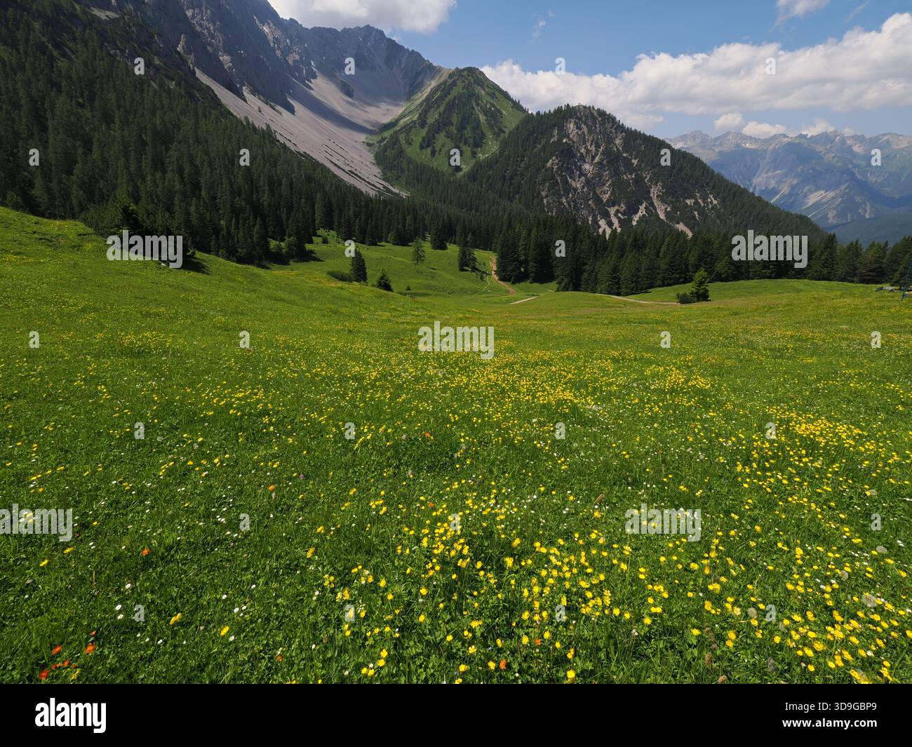 Vista panoramica sul monte Marienberg, Biberwier, Austria Foto Stock