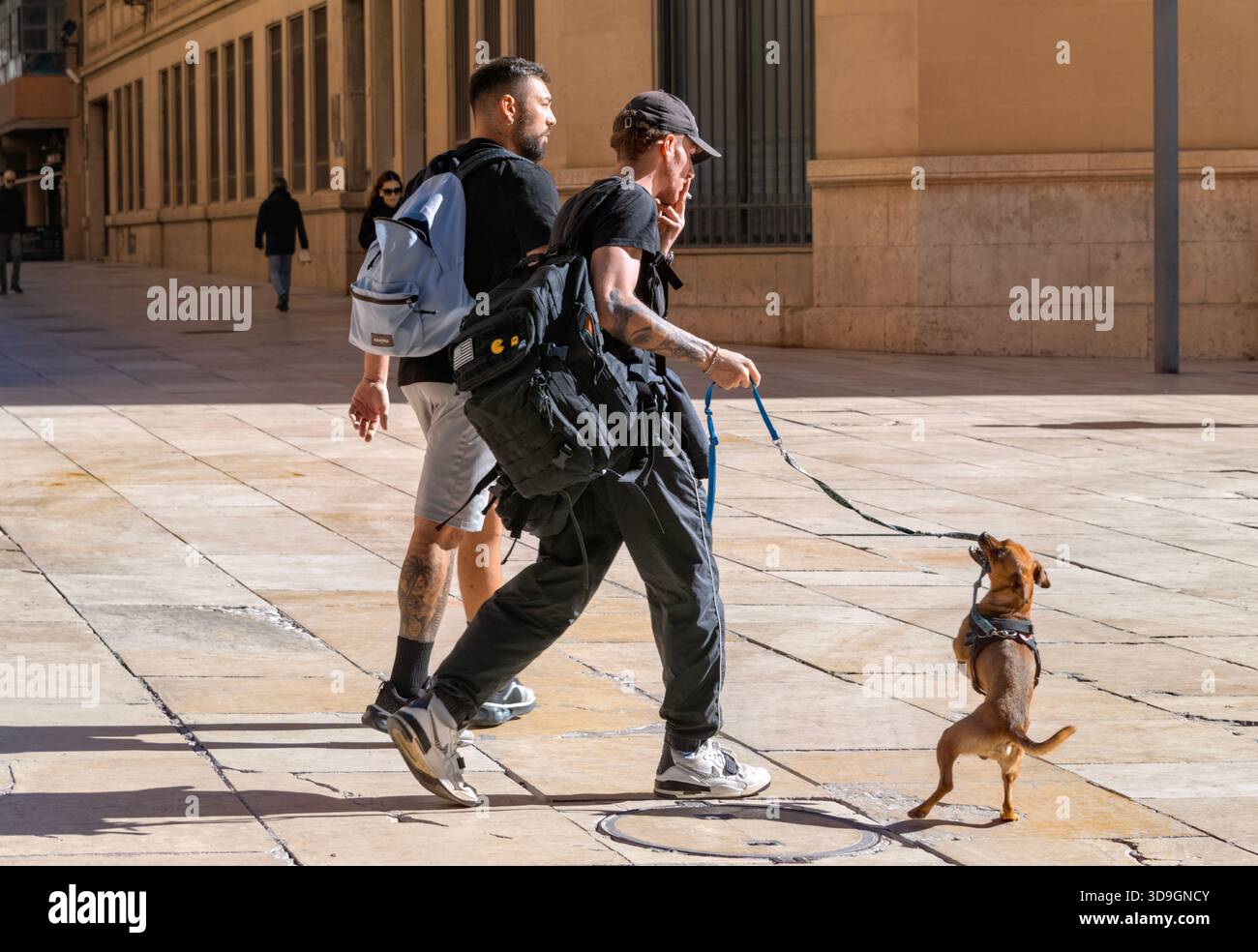 Due maschi che camminano con il loro cane cattivo attraverso Plaza del Obispo, Malaga, Spagna Foto Stock