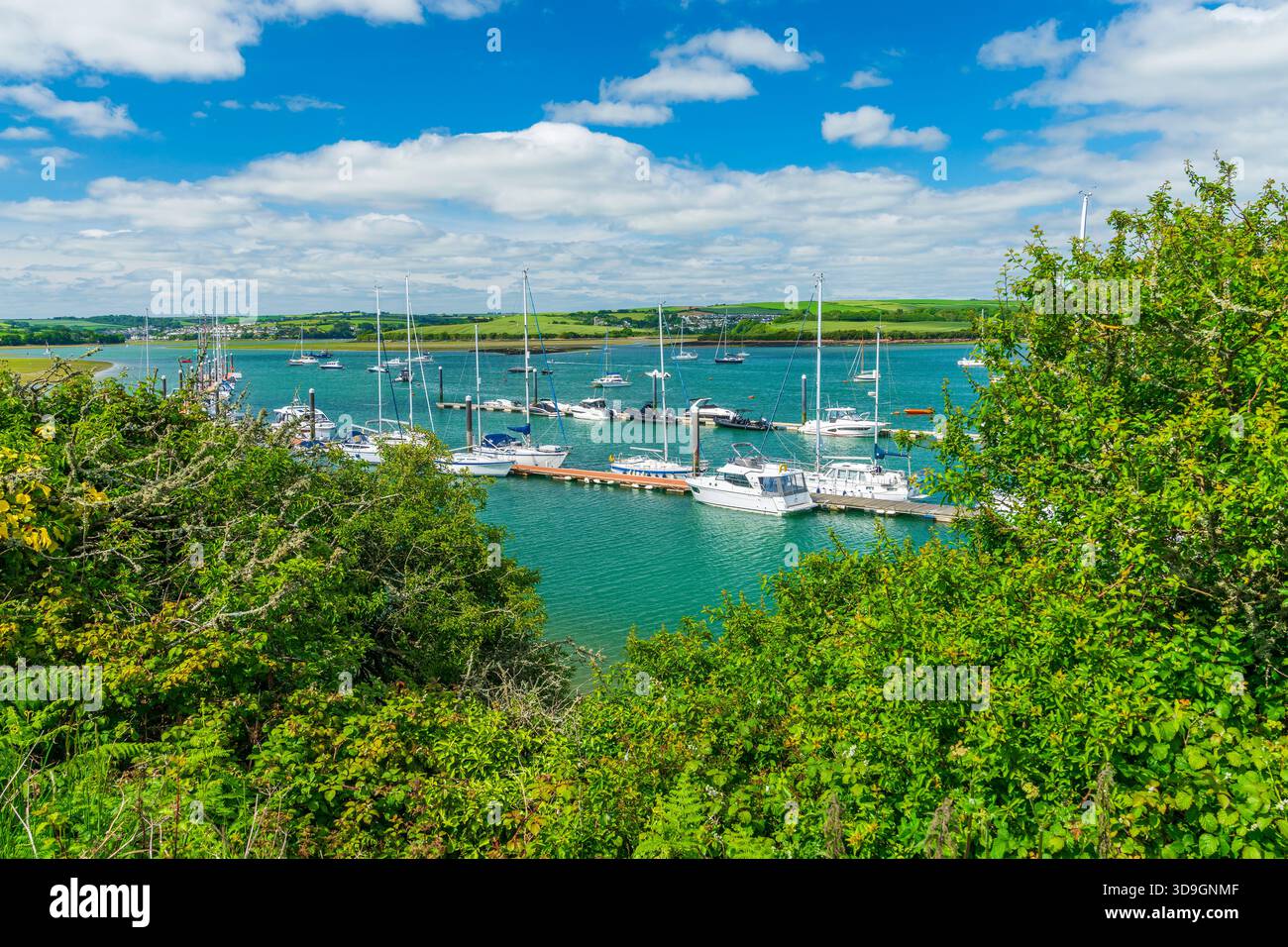 Kingsbridge Estuary, Salcombe, Devon, Inghilterra, Regno Unito, Europa Foto Stock