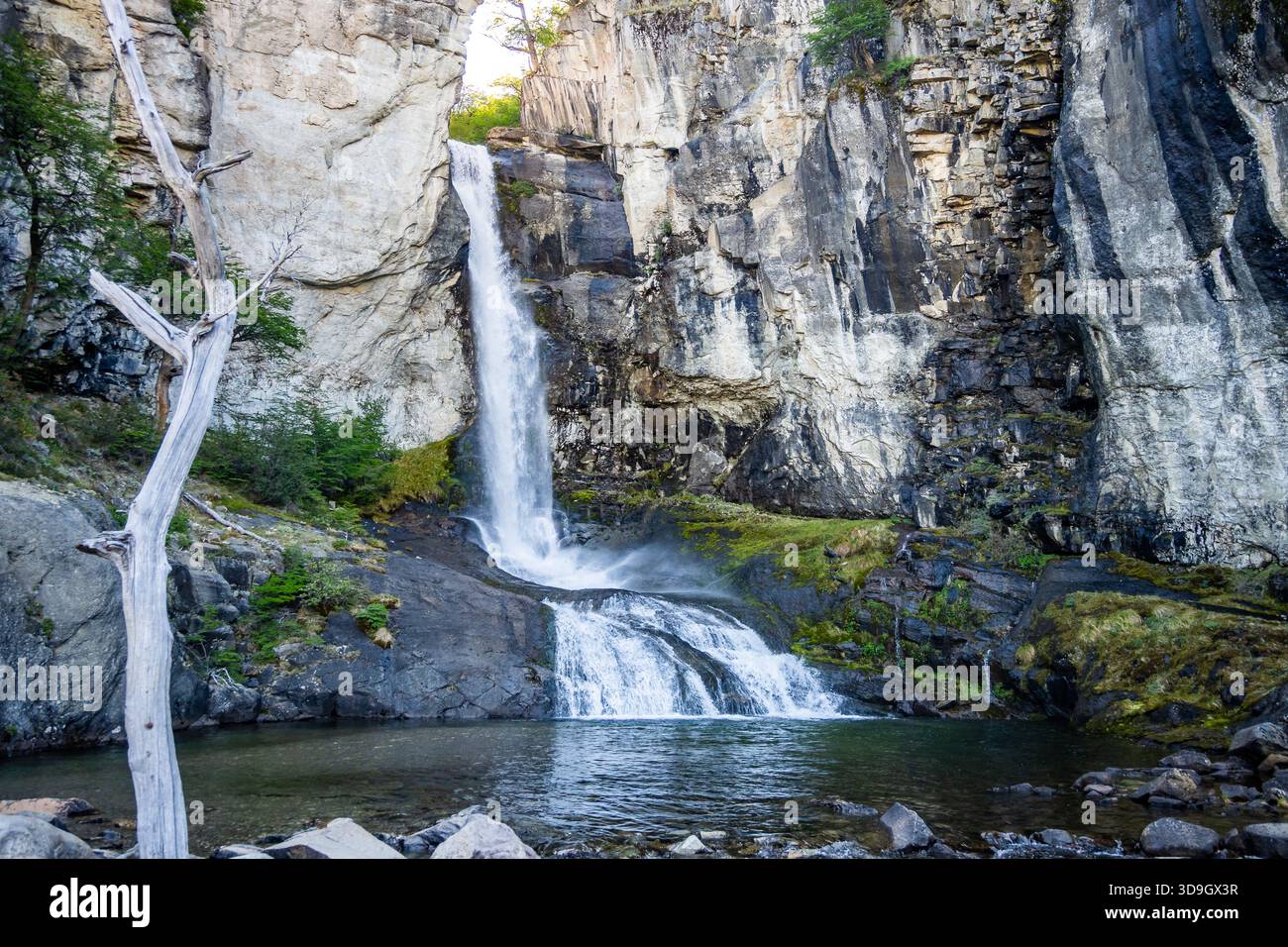 Chorrillo del salto, una cascata vicino a El Chalten, nella Patagonia meridionale. Santa Cruz, Argentina. Foto Stock