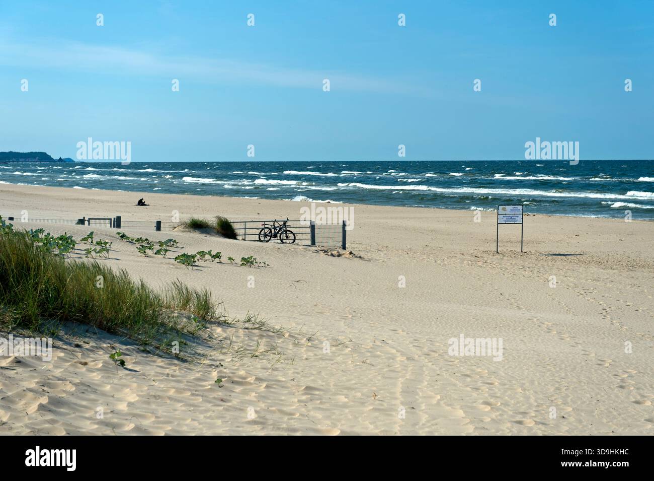 Spiaggia sabbiosa per cani, spiaggia per cani, Ahlbeck, isola di Usedom, Meclemburgo-Pomerania occidentale, Germania Foto Stock