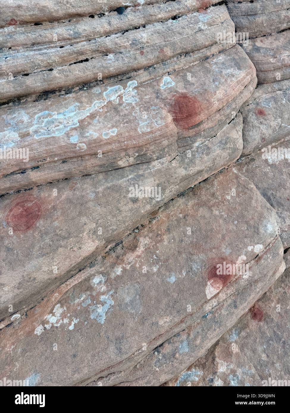 I marmi moqui e gli anelli di ossido di ferro come questi modelli a spirale circolare sono una scoperta rara e interessante, situata su una cima dello Snow Canyon State Park Foto Stock