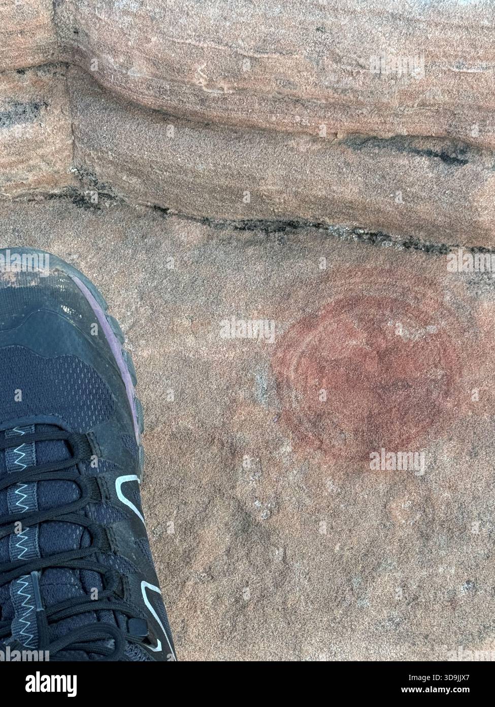 I marmi moqui e gli anelli di ossido di ferro come questi modelli a spirale circolare sono una scoperta rara e interessante, situata su una cima dello Snow Canyon State Park Foto Stock