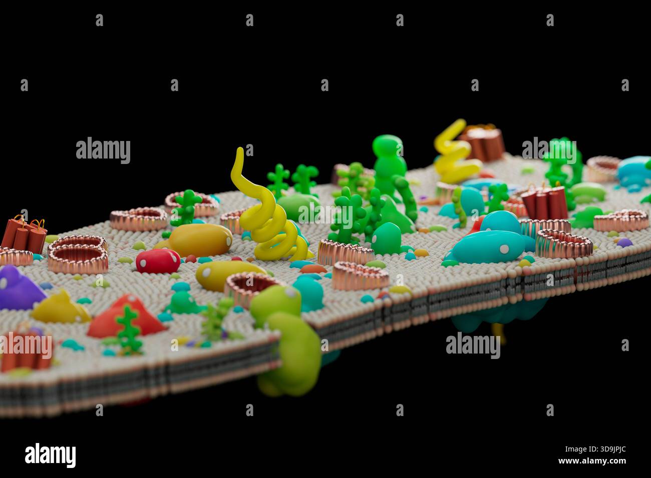 Immagine di una membrana cellulare con il bilayer lipidico. La membrana cellulare (nota anche come membrana plasmatica o membrana citoplasmatica) è una membrana biologica semipermeabile che separa e protegge l'interno di una cellula dall'ambiente esterno. È costituito da vari componenti quali molecole fosfolipidiche, canali proteici, glicoproteine, proteine globulari, proteine integrali, e carboidrati. Foto Stock