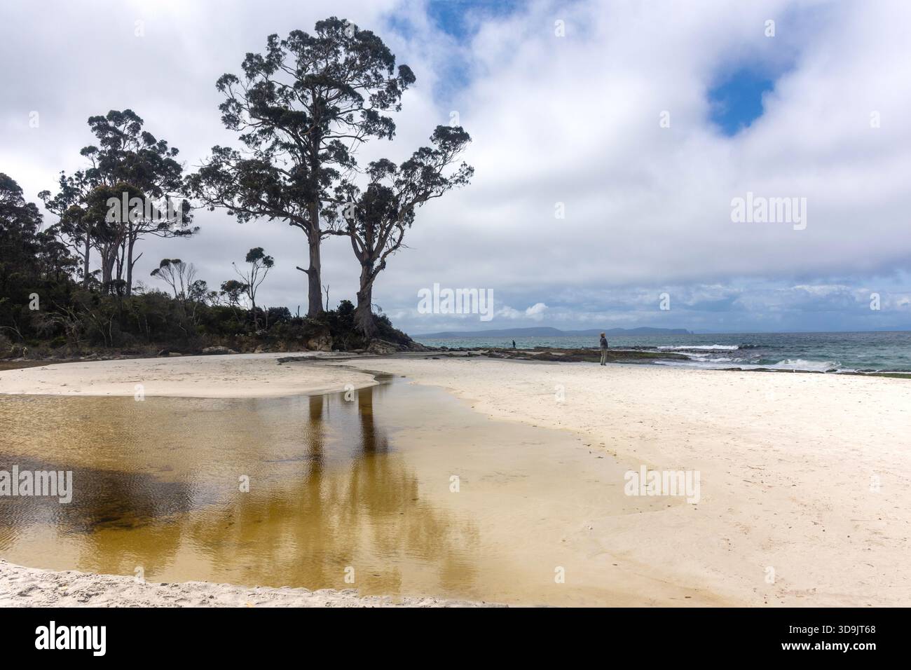 Two Tree Point e Sunshine Beach, Adventure Bay Road, South Bruny, Bruny Island, Tasmania, Australia Foto Stock