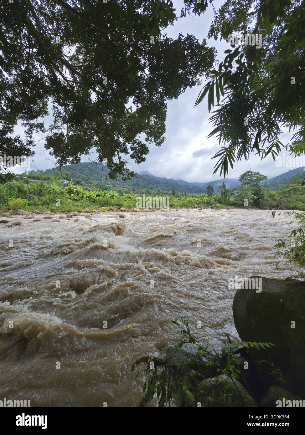 Inondazione selvaggia del fiume con acqua marrone fangosa che scorre attraverso il paesaggio della foresta tropicale. la natura potente della corrente si propaga attraverso una lussureggiante giungla verde Foto Stock