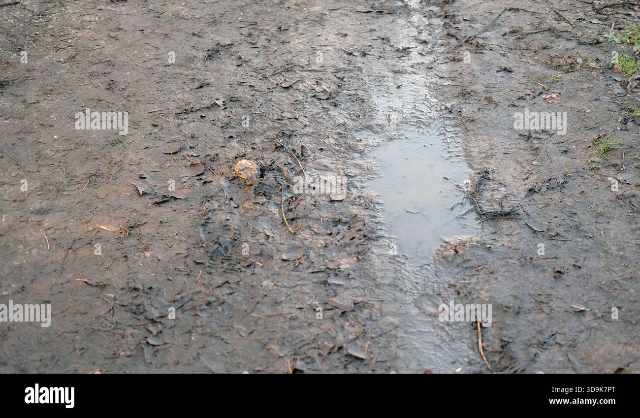 Ruvido poco profondo e pieno d'acqua su un sentiero fangoso con lettiera bagnata e superfici compatte del terreno. Foto Stock