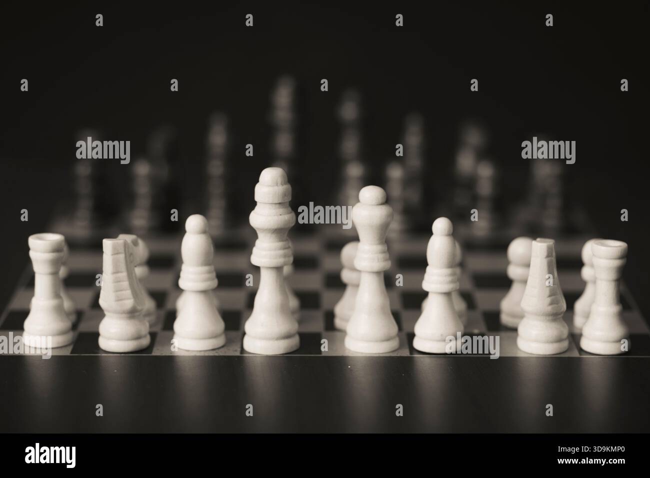 Vista monocromatica dei pezzi bianchi degli scacchi in formazione sul tabellone, evocando strategia classica, concentrazione e sfida intellettuale senza tempo. Foto Stock