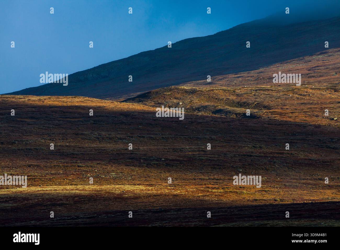 Aree soleggiate e all'ombra nel vasto e bellissimo paesaggio del parco nazionale Dovrefjell-Sunndalsfjella, Dovre, Norvegia. Foto Stock
