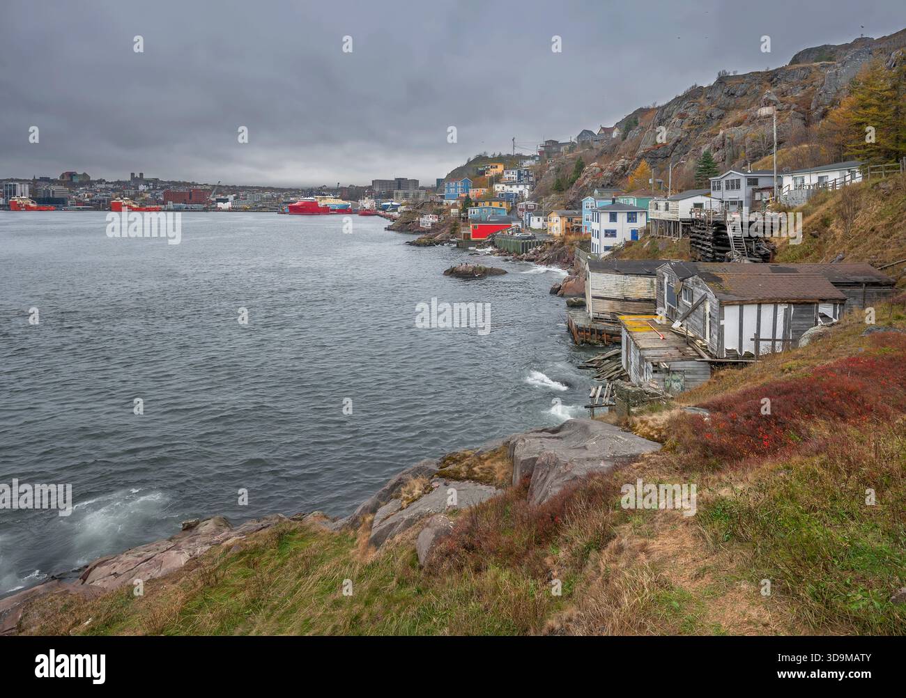 Edifici sulla riva del porto di Saint John's, Terranova e Labrador, Canada Foto Stock
