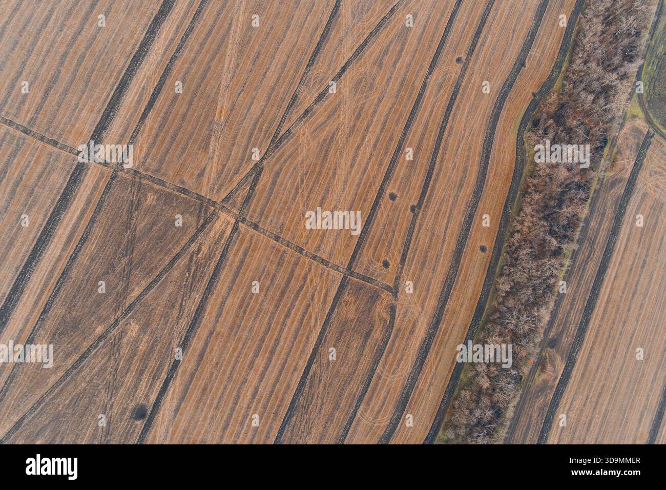 Ripresa con droni che cattura l'intricato schema lineare del campo coltivato attraversato da cingoli per macchinari pesanti. La consistenza calda del terreno è leggermente disturbata da piccole tracce di conchiglie, creando uno sfondo astratto unico Foto Stock