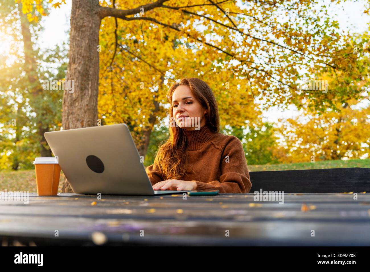 Donna sicura di sé che lavora su un notebook all'aperto in autunno. Foto Stock