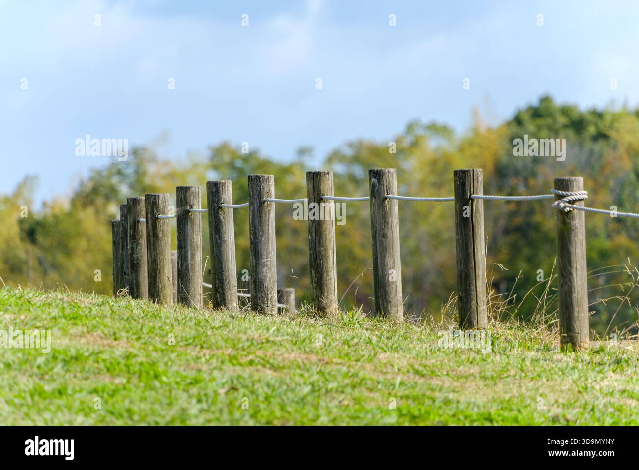 Palo in legno e recinzione a fune su una collina erbosa con sfondo boschivo sfocato Foto Stock